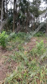 Lote/Terreno à venda, 1645m² no Portal da Serra, Santana de Parnaíba