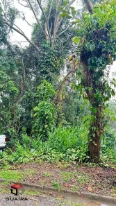 Lote/Terreno à venda, 510m² no Alvarenga, São Bernardo do Campo