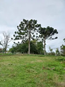 Lote/Terreno à venda, 7500m² no , Itaara