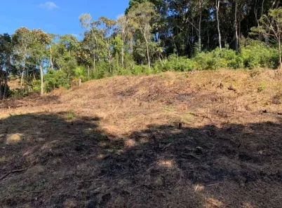 Lote/Terreno à venda, 9830m² no Do Pocinho, São Lourenço da Serra