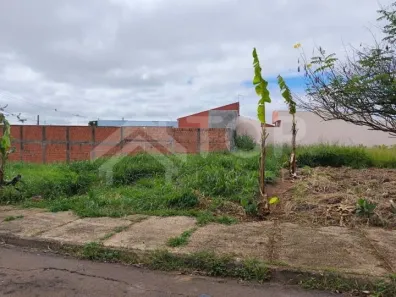 Lote/Terreno à venda, 172m² no Parque Primavera, São Carlos
