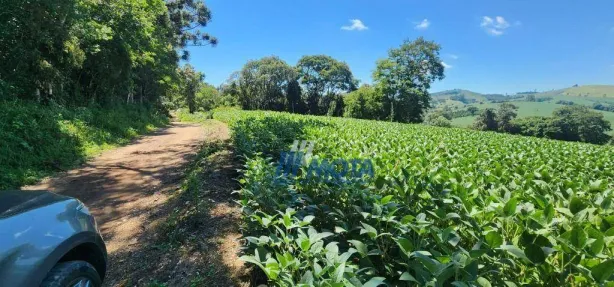 Fazenda/Sítio com 1 Quarto à venda, 451736m² no Jardim Veneza, Campo Magro