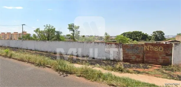 Lote/Terreno com 1 Quarto à venda, 6028m² no Chácaras Tubalina e Quartel, Uberlândia