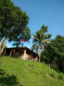 Fazenda/Sítio com 4 Quartos à venda, 180m² no Alpes das Águas, São Pedro