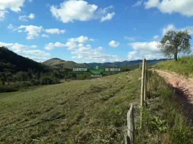 Fazenda/Sítio com 2 Quartos à venda, 90m² no Centro, Liberdade