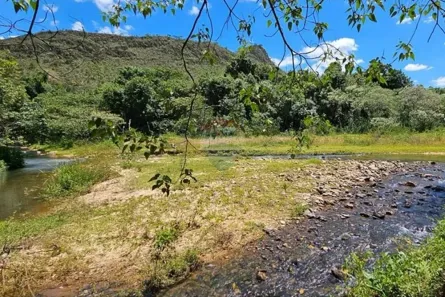 Fazenda/Sítio à venda, 30000m² no Delfinópolis, Delfinópolis
