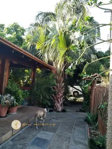 Casa com 3 Quartos para alugar, 360m² no Guarani, Novo Hamburgo