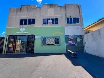 Imóvel Comercial para alugar, 400m² no Antares, Londrina