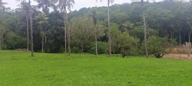 Lote/Terreno à venda, 22000m² no Guaratiba, Rio de Janeiro