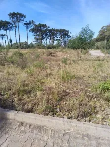 Lote/Terreno à venda, 360m² no Ana Rech, Caxias do Sul