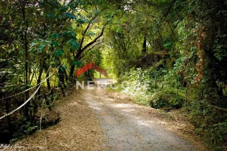 Fazenda/Sítio à venda, 130000m² no Cachoeira Grande, Pedro Leopoldo