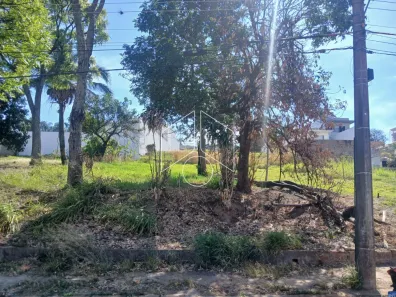 Lote/Terreno para alugar, 440m² no Senador Salgado Filho, Marília