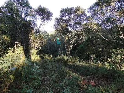 à venda, 1m² no , Delfim Moreira