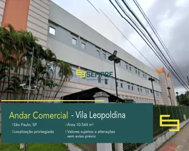Imóvel Comercial para alugar, 10544m² no Jardim Humaitá, São Paulo