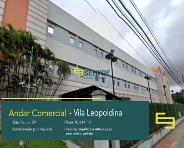 Sala Comercial para alugar, 10544m² no Jardim Humaitá, São Paulo