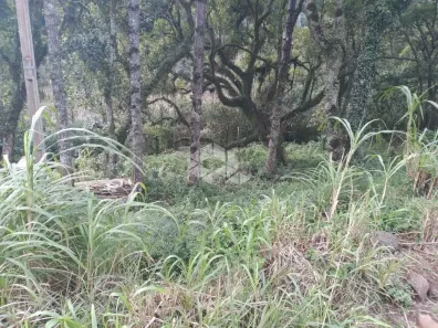 Lote/Terreno à venda, 427m² no Nova Petrópolis, Nova Petrópolis