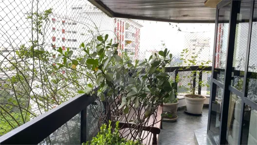 Apartamento com 3 Quartos à venda, 210m² no Vila Suzana, São Paulo