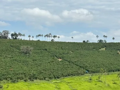 Fazenda/Sítio à venda, 75m² no , Elói Mendes