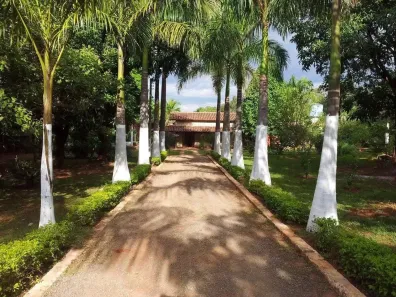 Fazenda/Sítio com 3 Quartos à venda, 5000m² no Chácaras Paineiras, Montes Claros