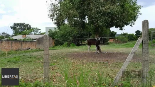 Lote/Terreno à venda, 999m² no Lageado, Porto Alegre