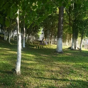 Lote/Terreno à venda, 4200m² no Serrano, Caxias do Sul