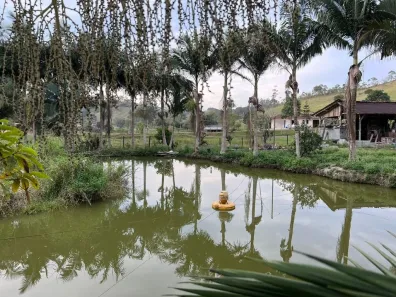 Fazenda/Sítio com 5 Quartos à venda, 18500m² no Centro, Navegantes