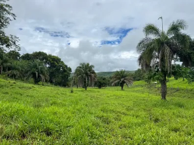 Fazenda/Sítio com 4 Quartos à venda, 605000m² no , Jaraguá