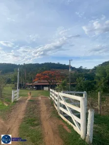 Fazenda/Sítio com 4 Quartos à venda, 3m² no Área Rural de Taquaral de Goiás, Taquaral de Goiás