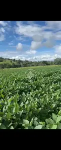 Fazenda/Sítio à venda, 9m² no , Morrinhos