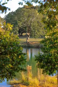 Lote/Terreno à venda, 276m² no Reserva Do Bosque, Abadia de Goiás