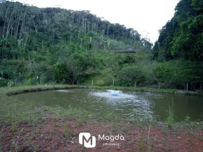 Fazenda/Sítio com 3 Quartos à venda, 32367m² no Centro, Massaranduba