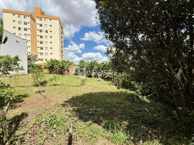 Lote/Terreno à venda, 390m² no Vila Monteiro, Piracicaba