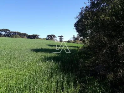 Lote/Terreno à venda, 5000m² no Boqueirão, Passo Fundo