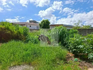 Lote/Terreno à venda, 490m² no Jardim Conceição (Sousas), Campinas