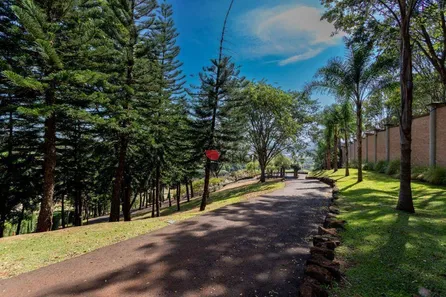 Lote/Terreno à venda, 1175m² no Bonfim Paulista, Ribeirão Preto