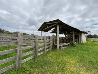 Fazenda/Sítio com 5 Quartos à venda, 350m² no Bonanza (Águas Claras), Viamão