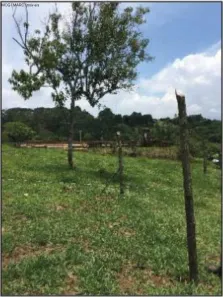 Lote/Terreno à venda, 2892m² no Parque São Martinho, Mogi das Cruzes