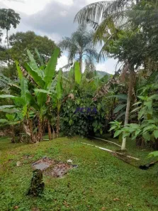 Fazenda/Sítio com 3 Quartos à venda, 200m² no Despezio, São Lourenço da Serra