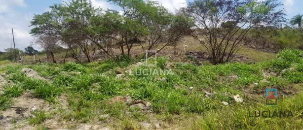 Lote/Terreno à venda, 1256m² no Alpes Suiços, Gravatá