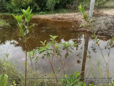 Fazenda/Sítio com 1 Quarto à venda, 250m² no Área Rural de Cuiabá, Cuiabá