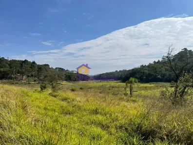 Lote/Terreno à venda, 1200m² no Curral, Ibiúna