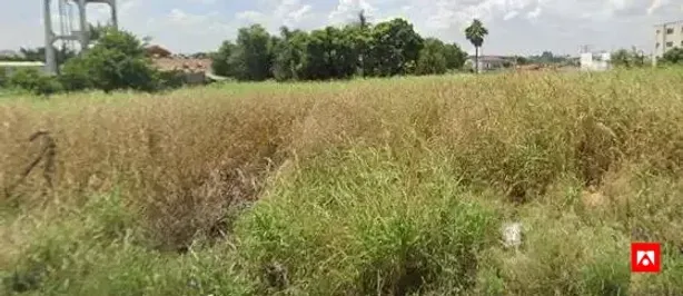 Lote/Terreno à venda, 10646m² no Brieds, Americana