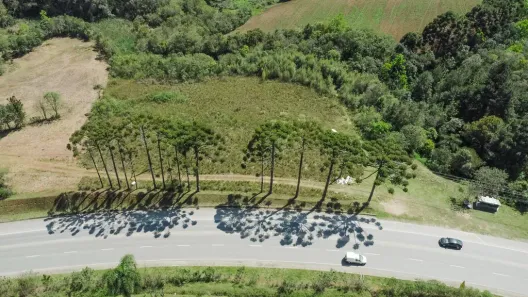 Lote/Terreno à venda, 6814m² no Samanbaia, Campo Magro