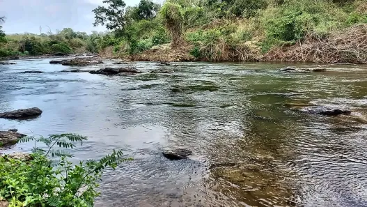 Lote/Terreno à venda, 20000m² no Sul, Brasília