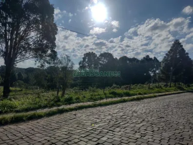 Lote/Terreno à venda, 60056m² no São Ciro, Caxias do Sul