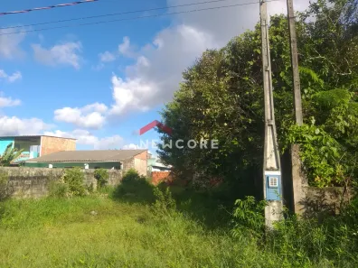 Lote/Terreno à venda, 250m² no Jardim Coronel, Itanhaém