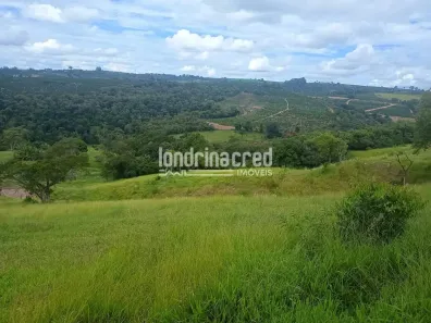 Fazenda/Sítio à venda, 10m² no Lavrinha, Pinhalão