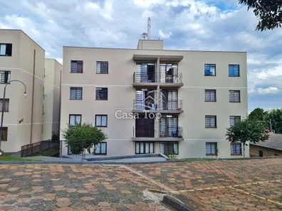Apartamento com 3 Quartos para alugar, 63m² no Colônia Dona Luíza, Ponta Grossa