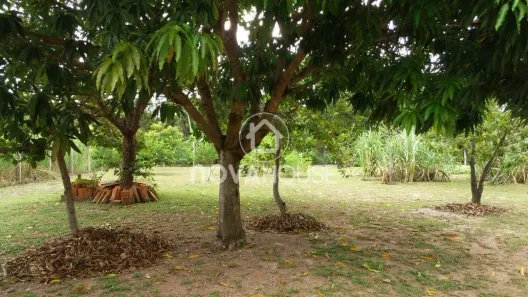 Fazenda/Sítio com 1 Quarto à venda, 1600m² no , Santo Antônio de Leverger