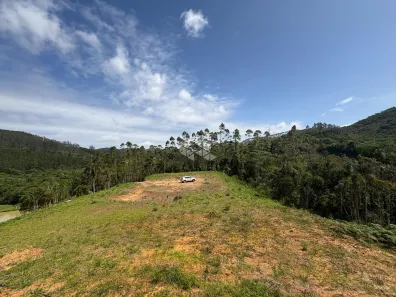 Lote/Terreno à venda, 40000m² no Centro, São Pedro de Alcântara